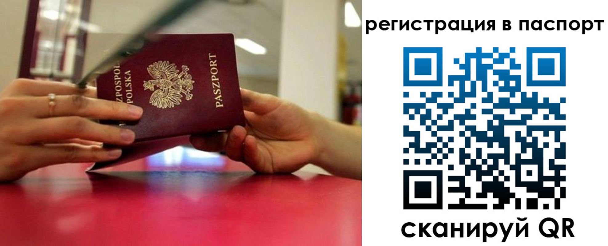 пропишу в квартире в Мурино
